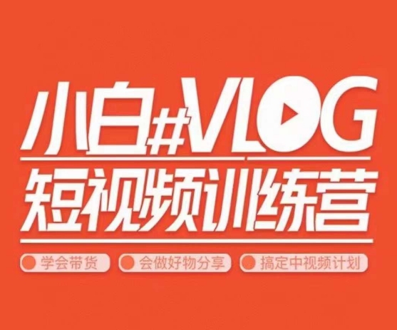 小呆说视–小白VLOG短视频训练营，学会带货、好物、直播、中视频-轻松搞定副业 - 高效赚钱方法和建议