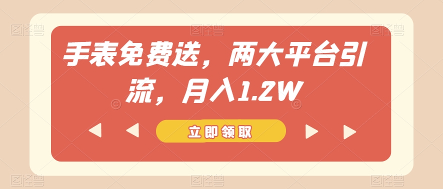手表免费送，两大平台引流，月入1.2W【揭秘】-轻松搞定副业 - 高效赚钱方法和建议
