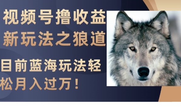 视频号撸收益新玩法之狼道，目前蓝海玩法，轻松月入过万【揭秘】-轻松搞定副业 - 高效赚钱方法和建议