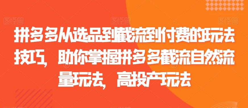 拼多多从选品到截流到付费的玩法技巧，助你掌握拼多多截流自然流量玩法，高投产玩法-轻松搞定副业 - 高效赚钱方法和建议