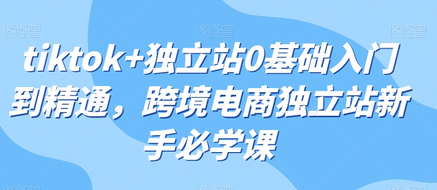 tiktok+独立站0基础入门到精通，跨境电商独立站新手必学课-轻松搞定副业 - 高效赚钱方法和建议