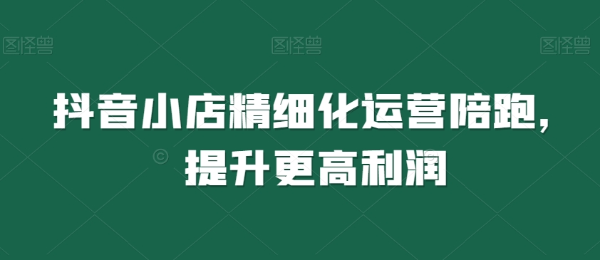 抖音小店精细化运营陪跑，提升更高利润-轻松搞定副业 - 高效赚钱方法和建议