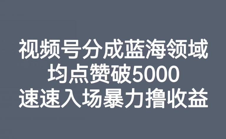 视频号分成蓝海领域，均点赞破5000，速速入场暴力撸收益-轻松搞定副业 - 高效赚钱方法和建议
