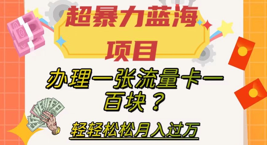 超暴力蓝海项目，办理一张流量卡一百块？轻轻松松月入过万，保姆级教程【揭秘】-轻松搞定副业 - 高效赚钱方法和建议