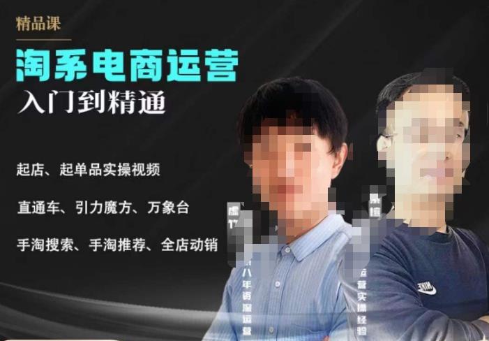 2023手淘搜索实操课+体系化课程，​起店起单品实操视频课程-轻松搞定副业 - 高效赚钱方法和建议