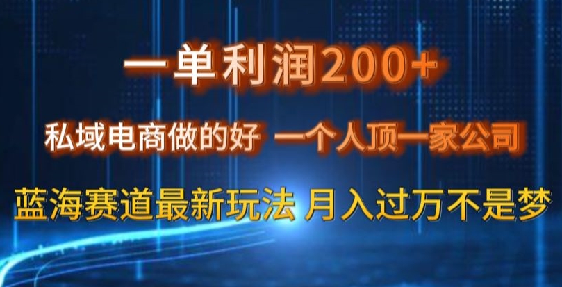 一单利润200私域电商做的好，一个人顶一家公司蓝海赛道最新玩法【揭秘】-轻松搞定副业 - 高效赚钱方法和建议