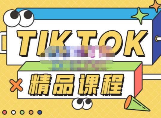 电商孵化中心·TikTok精品课程，教你玩转海外抖音，低成本创业，带您从0开始玩转TikTok-轻松搞定副业 - 高效赚钱方法和建议