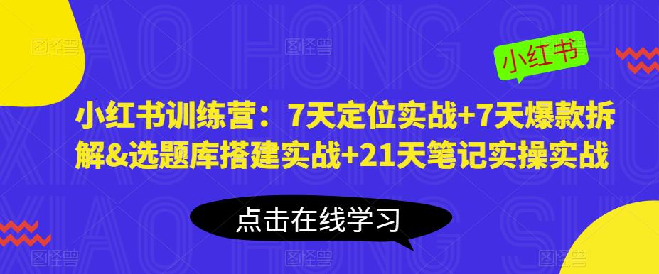 小红书训练营：7天定位实战+7天爆款拆解&选题库搭建实战+21天笔记实操实战-轻松搞定副业 - 高效赚钱方法和建议