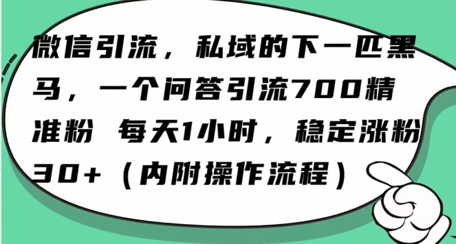 怎么搞精准创业粉？微信新赛道，每天一小时，利用Ai一个问答日引100精准粉-轻松搞定副业 - 高效赚钱方法和建议