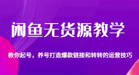 闲鱼无货源教学，教你起号，养号打造爆款链接以及转转的运营技巧-轻松搞定副业 - 高效赚钱方法和建议