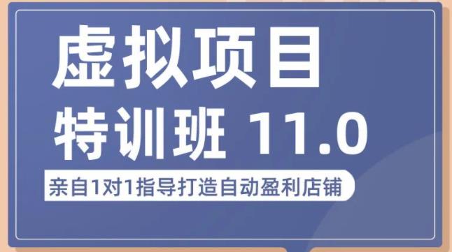 陆明明·虚拟项目特训班（10.0+11.0），0成本获取虚拟素材，0基础打造自动盈利店铺-轻松搞定副业 - 高效赚钱方法和建议