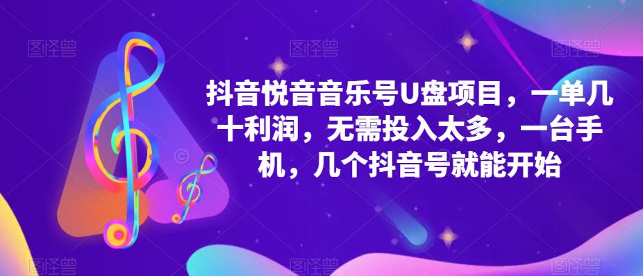 抖音音乐号U盘项目，一单几十利润，无需投入太多，一台手机，几个抖音号就能开始-轻松搞定副业 - 高效赚钱方法和建议