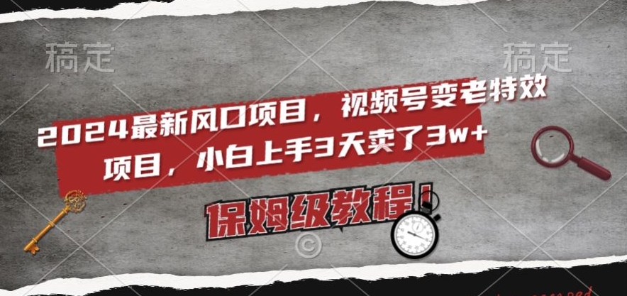 2024最新风口项目，视频号变老特效项目，电脑小白上手3天卖了3w+，保姆级教程【揭秘】-轻松搞定副业 - 高效赚钱方法和建议