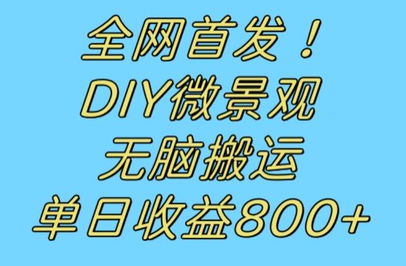 全网首发冷门赛道！DIY微景观，无脑搬运视频，日收益800+【揭秘】-轻松搞定副业 - 高效赚钱方法和建议