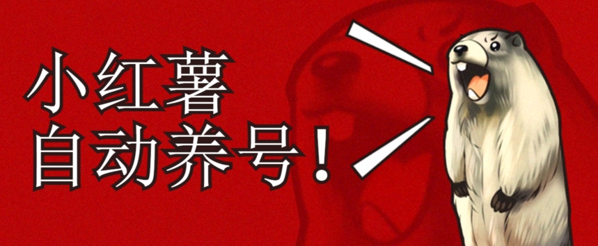 小红书养号秘籍，如何自动涨粉清晰系统标签打造高权重账号【揭秘】-轻松搞定副业 - 高效赚钱方法和建议