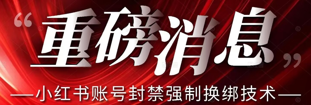 【最新】小红书账号封禁强制换绑技术可日赚300-轻松搞定副业 - 高效赚钱方法和建议