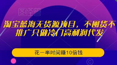 淘宝蓝海无货源项目，不囤货不推广只做冷门高利润代发，花一半时间赚10倍钱-轻松搞定副业 - 高效赚钱方法和建议