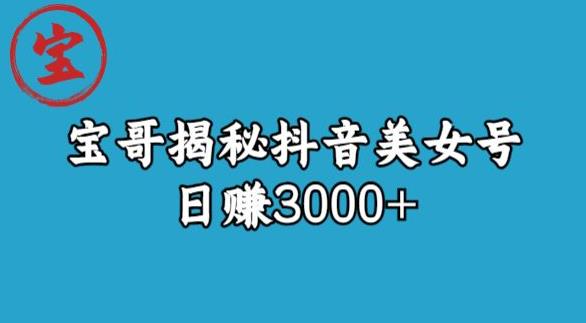宝哥揭秘抖音美女号玩法，日赚3000+【揭秘】-轻松搞定副业 - 高效赚钱方法和建议