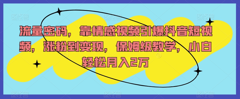 流量密码，靠情感视频引爆抖音短视频，涨粉到变现，保姆级教学，小白轻松月入2万【揭秘】-轻松搞定副业 - 高效赚钱方法和建议