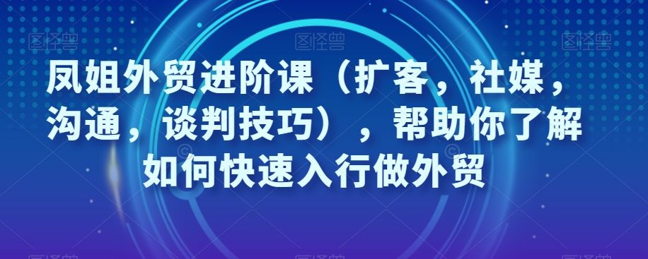 凤姐外贸进阶课（扩客，社媒，沟通，谈判技巧），帮助你了解如何快速入行做外贸-轻松搞定副业 - 高效赚钱方法和建议