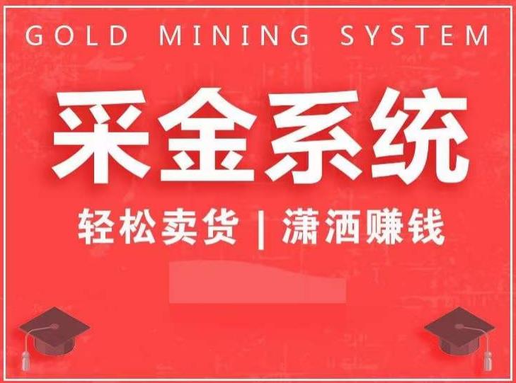 采金系统2.0，私域成交，快速成交收钱，轻松卖货，业绩暴涨，潇洒赚钱-轻松搞定副业 - 高效赚钱方法和建议