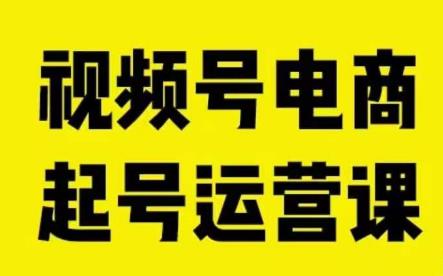 视频号电商起号运营课，教新人如何自然流起号，助力商家0-1突破-轻松搞定副业 - 高效赚钱方法和建议