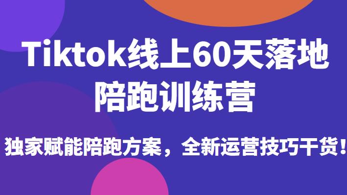 Tiktok线上60天落地陪跑训练营，独家赋能陪跑方案，全新运营技巧干货-轻松搞定副业 - 高效赚钱方法和建议
