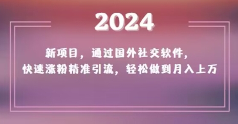 2024新项目，通过国外社交软件，快速涨粉精准引流，轻松做到月入上万【揭秘】-轻松搞定副业 - 高效赚钱方法和建议