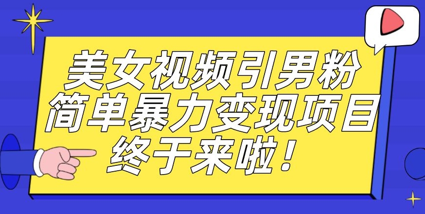 价值3980的男粉暴力引流变现项目，一部手机简单操作，新手小白轻松上手，每日收益500+【揭秘】-轻松搞定副业 - 高效赚钱方法和建议