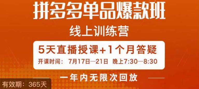 钟辰·拼多多单品爆款班，一个拼多多超级爆款养一个团队-轻松搞定副业 - 高效赚钱方法和建议