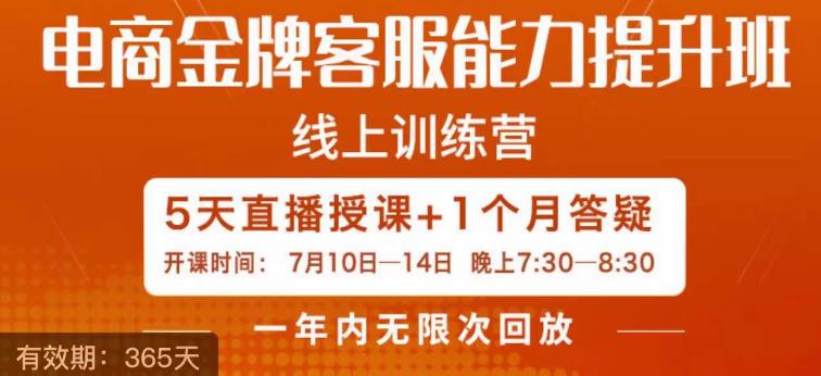 电商金牌客服能力提升班，提升客服能力是你店铺业绩的关键要素-轻松搞定副业 - 高效赚钱方法和建议