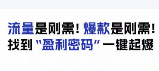 电商盈利精品课：6大盈利密码让产品更好卖，流量是刚需！爆款是刚需！找到”盈利密码”一键起爆-轻松搞定副业 - 高效赚钱方法和建议