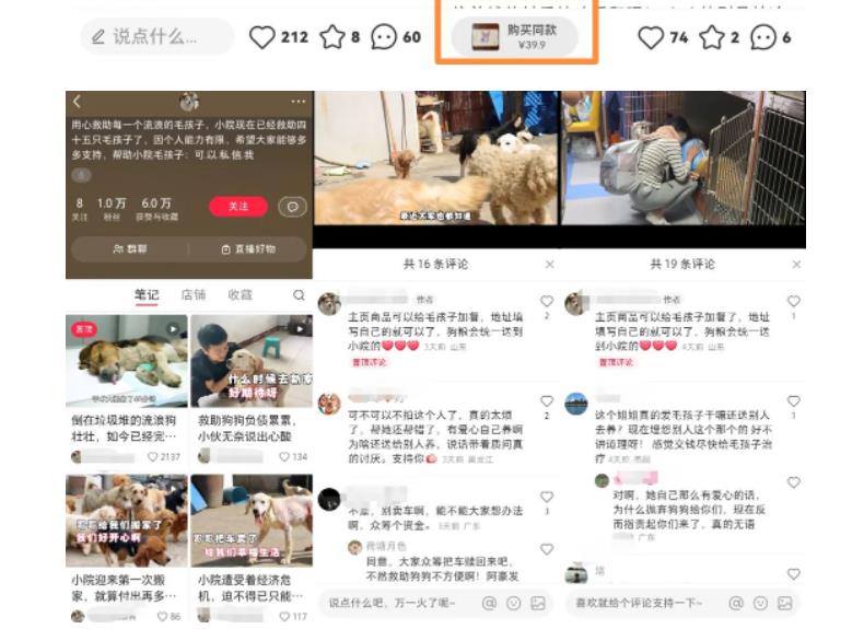 小红书蓝海类赛道：小动物打赏与购买变现副业项目，一条龙玩法分享给你！-轻松搞定副业 - 高效赚钱方法和建议