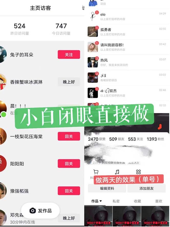 一天做完别一辈子的视频制作最近很火的《1000个野路子信息差》100%过原创【揭秘】-轻松搞定副业 - 高效赚钱方法和建议