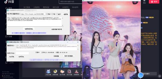 最新电脑版抖音/快手/B站直播源获取+直播间实时录制+直播转播软件【全套软件+详细教程】-轻松搞定副业 - 高效赚钱方法和建议