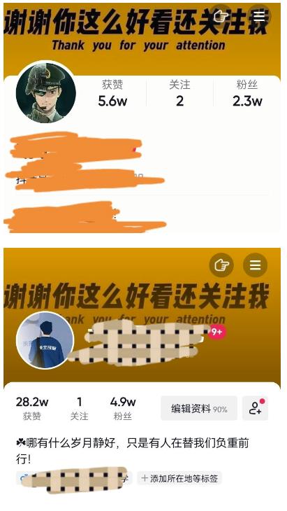 外面收费1980快速涨粉技术（女粉），抖音快手小红书，只要你有执行力，涨粉轻而易举，粉丝=变现-轻松搞定副业 - 高效赚钱方法和建议