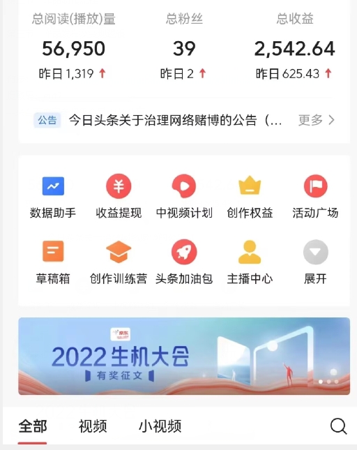 全新蓝海，西瓜视频流量掘金项目，简单上手适合0基础小白，暴力玩法日入500＋【揭秘】-轻松搞定副业 - 高效赚钱方法和建议
