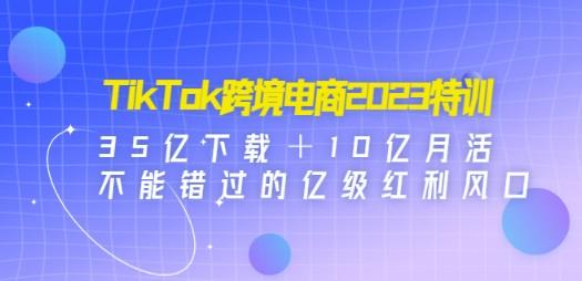 TikTok跨境电商2023特训：35亿下载＋10亿月活，不能错过的亿级红利风口-轻松搞定副业 - 高效赚钱方法和建议