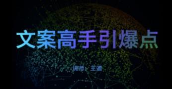 王通《文案高手引爆点》最实战的各种营销文案模型 价值2000-轻松搞定副业 - 高效赚钱方法和建议
