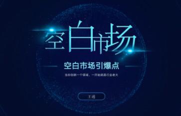《空白市场引爆点》 快速寻找蓝海市场的方法-轻松搞定副业 - 高效赚钱方法和建议