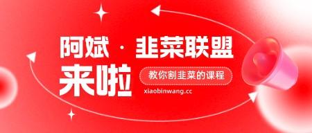 阿斌·韭菜联盟 一个教你割韭菜的课程-轻松搞定副业 - 高效赚钱方法和建议