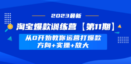 淘宝爆款训练营【第11期】 从0开始教你运营打爆款，方向+实操+放大-轻松搞定副业 - 高效赚钱方法和建议