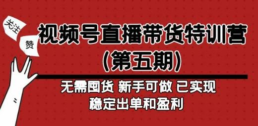 视频号直播带货特训营（第五期）无需囤货 新手可做 已实现稳定出单和盈利-轻松搞定副业 - 高效赚钱方法和建议