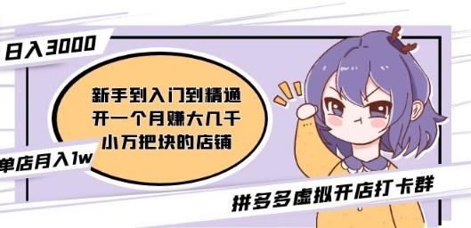 某拼多多虚拟开店打卡群内部干货：新手到入门到精通（昨日群里有小伙伴日入3000+）-轻松搞定副业 - 高效赚钱方法和建议