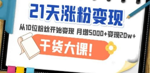 21天精准涨粉变现干货大课：从10位粉丝开始变现 月增5000+变现20w+-轻松搞定副业 - 高效赚钱方法和建议