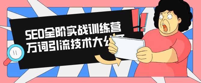 SEO全阶实战训练营 万词引流技术大公开-轻松搞定副业 - 高效赚钱方法和建议