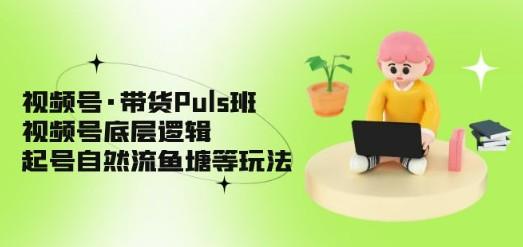 视频号·带货Puls班，视频号底层逻辑，起号自然流鱼塘等玩法-轻松搞定副业 - 高效赚钱方法和建议