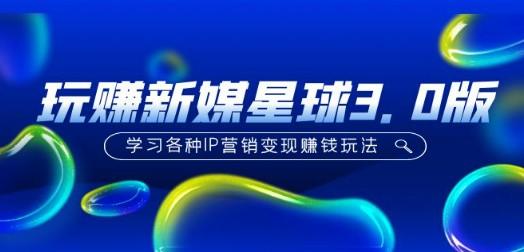 《玩赚新媒星球3.0版》学习各种IP营销变现赚钱玩法（价值498）-轻松搞定副业 - 高效赚钱方法和建议
