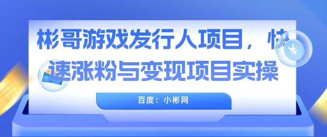 彬哥游戏发行人项目，快速涨粉与变现项目实操 价值399元-轻松搞定副业 - 高效赚钱方法和建议