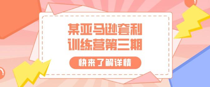 某亚马逊套利训练营第三期-轻松搞定副业 - 高效赚钱方法和建议